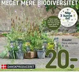 REMA 1000 Stauder tilbud