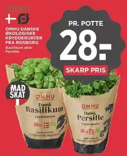 MENY Dansk basilikum / persille (omhu) tilbud