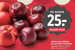 MENY OMHU BLOMMER ELLER NEKTARINER tilbud