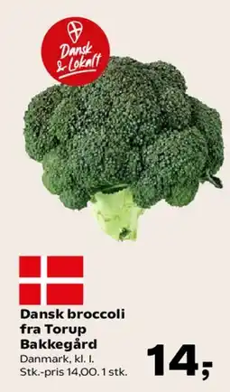 Kvickly Dansk broccoli fra Torup Bakkegård tilbud