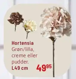Kop & Kande Hortensia tilbud