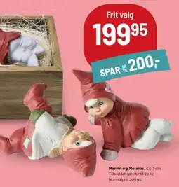 Kop & Kande Marvin og Melanie (liggende) tilbud