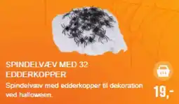 Harald Nyborg Spindelvæv med edderkopper tilbud
