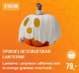 Harald Nyborg Spøgelsesgræskar lanterne tilbud