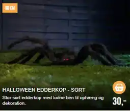 Harald Nyborg Halloween Edderkop - Sort tilbud