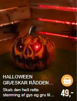 Harald Nyborg Halloween Græskar Rådden tilbud