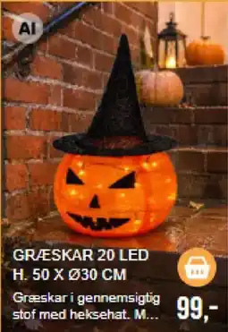 Harald Nyborg Græskar 20 Led tilbud