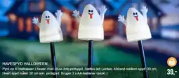 Harald Nyborg Havespyd halloween tilbud