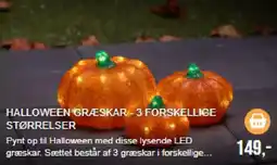Harald Nyborg Halloween Græskar tilbud