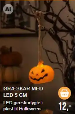Harald Nyborg Led Græskar tilbud