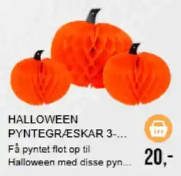 Harald Nyborg Halloween pyntegræskar tilbud