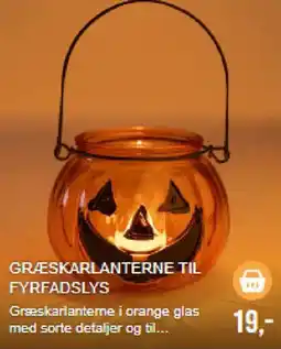 Harald Nyborg Græskarlanterne til fyrfadsllys tilbud