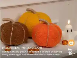Harald Nyborg Halloween Pyntegræskar tilbud