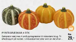 Harald Nyborg Pyntegræskar tilbud