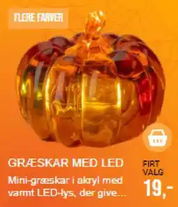 Harald Nyborg Græskar med led tilbud