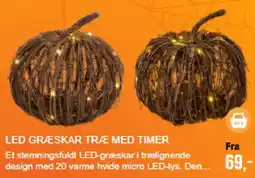 Harald Nyborg Led Græskar Træ Med Timer tilbud