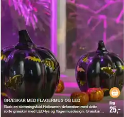 Harald Nyborg Græskar med flagermus og led tilbud