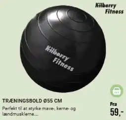 Harald Nyborg Kilberry Fitness træningsbold tilbud