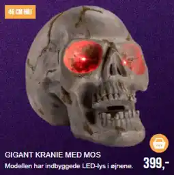 Harald Nyborg Gigant kranie med mos tilbud