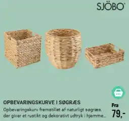 Harald Nyborg Sjöbo opbevaringskurve i søgræs tilbud