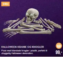 Harald Nyborg Halloween kranie og knogler tilbud