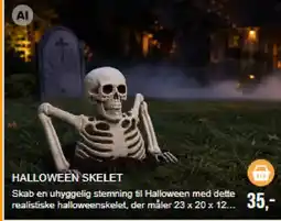 Harald Nyborg Halloween Skelet tilbud