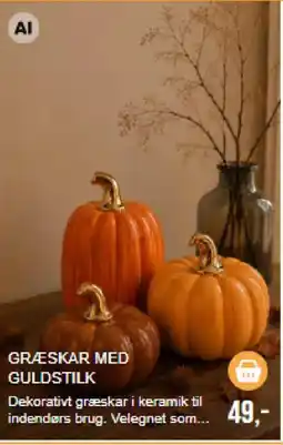 Harald Nyborg Græskar med guldstilk tilbud