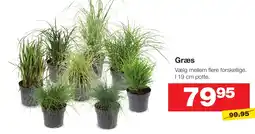 Bauhaus Græs tilbud