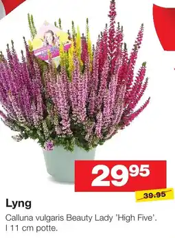 Bauhaus Lyng tilbud