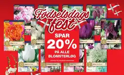 Bauhaus Fodselssdagsfest tilbud