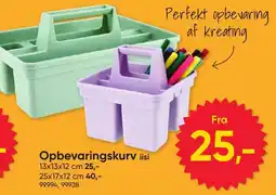 BigDollar Opbevaringskurv iisi tilbud