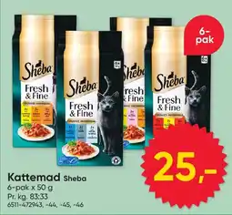 BigDollar Sheba Fresh & Fine tilbud