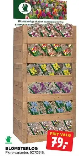jem & fix Blomsterløg tilbud