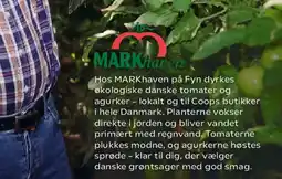 SuperBrugsen A+ flydende vaskemiddel eller kapsler tilbud