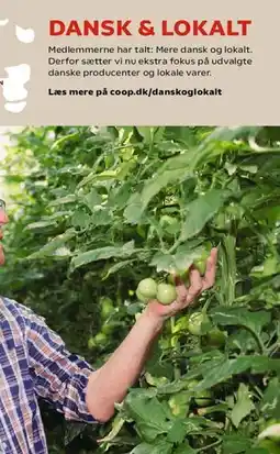 SuperBrugsen Rodalon rengøring tilbud