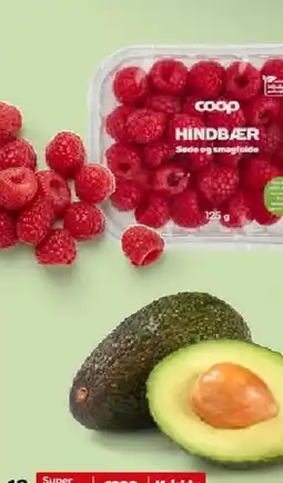 Kvickly Dansk broccoli fra Torup Bakkegård tilbud