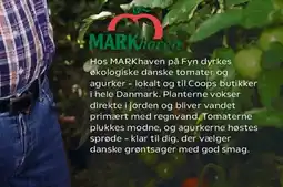 Kvickly A+ flydende vaskemiddel eller kapsler tilbud
