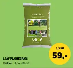 XL-BYG Leaf Plænegræs tilbud