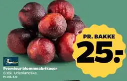 Netto Premier blomme/abrikosser tilbud
