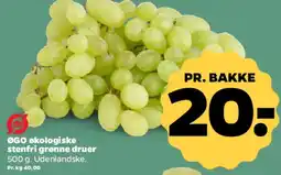 Netto Økologiske stenfri grønne druer tilbud