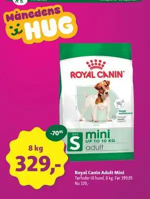 Royal Canin Adult Mini
