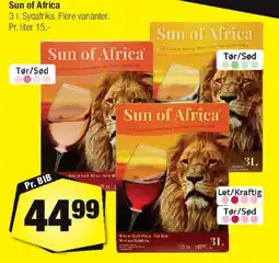 Calle Sun of Africa tilbud