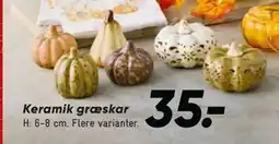 Bilka Keramik græskar tilbud