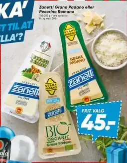 Bilka Zanetti Grana Padano eller Pecorino Romano tilbud