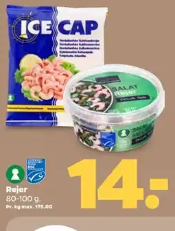 Netto Rejer tilbud