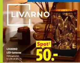 Lidl LIVARNO LED-lanterne tilbud