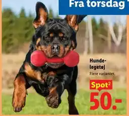 Lidl Hundelegetøj tilbud