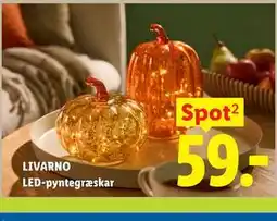 Lidl LIVARNO LED-pyntegræskar tilbud