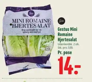 Gestus Mini Romaine Hjertesalat