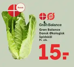 SPAR Grøn Balance Dansk Økologisk Spidskål tilbud